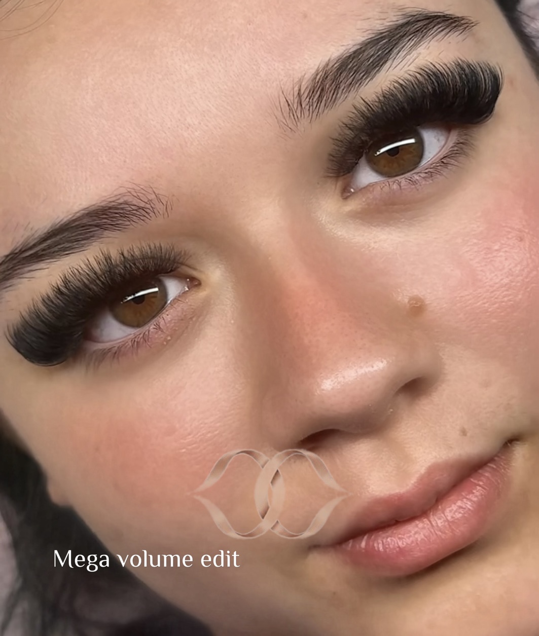 mega volume lash extensions maison montclair