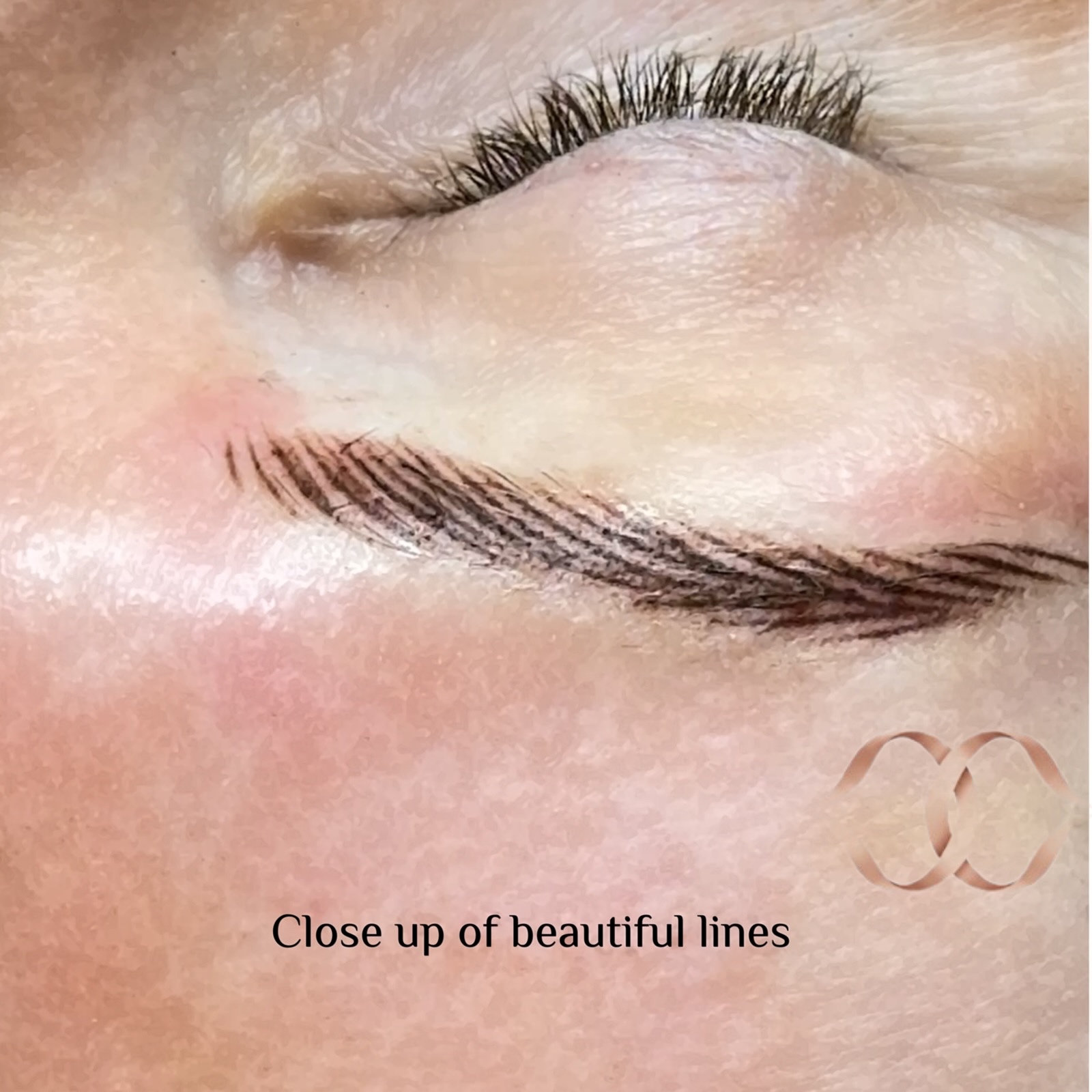 Best Nano brows at Maison Montclair Sydney